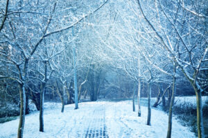 preparar-tu-vivienda-para-el-invierno