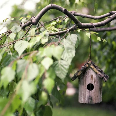Motivos para comprar una casa con jardín