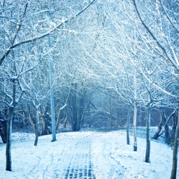 preparar-tu-vivienda-para-el-invierno